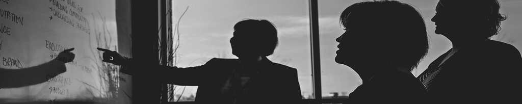 The Organizational Shadow Impact